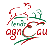 tendre agneau